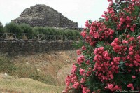 /album/fotogalerie-barumini-giara-di-gesturi/img-3009-jpg/